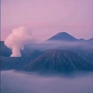 Meet your Posher, Kya